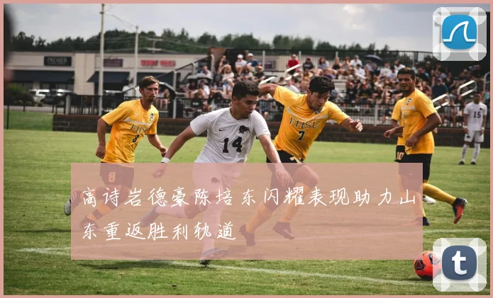 高诗岩德豪陈培东闪耀表现助力山东重返胜利轨道