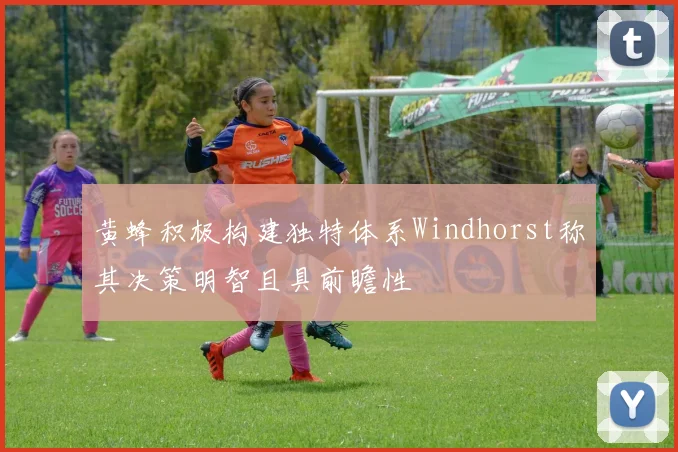 黄蜂积极构建独特体系Windhorst称其决策明智且具前瞻性