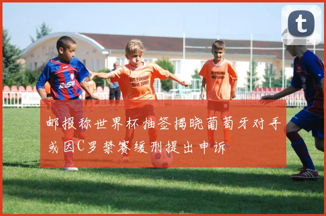 邮报称世界杯抽签揭晓葡萄牙对手或因C罗禁赛缓刑提出申诉