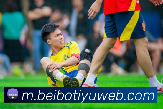 贝博体育APP 封面图